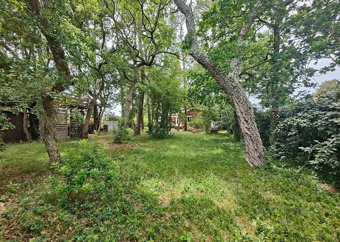 Holiday home Des Hauts Pins