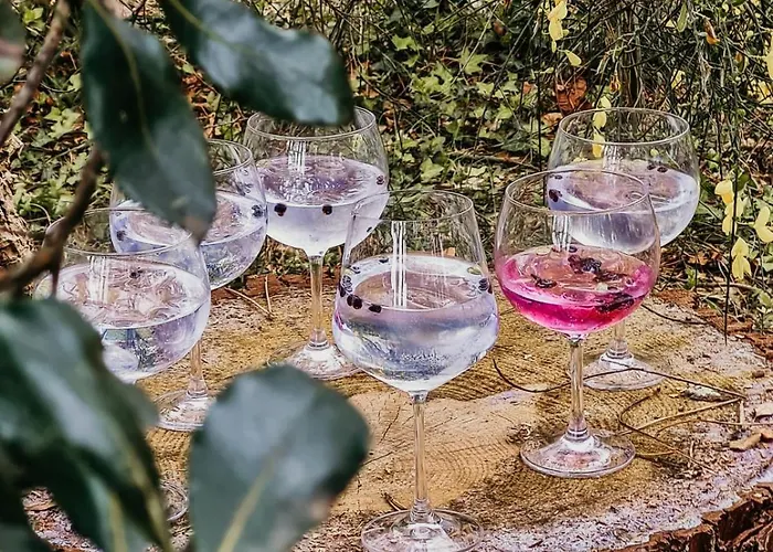 Holiday home Des Hauts Pins