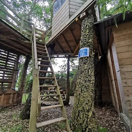 بيت للعطل Des Hauts Pins *