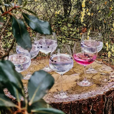 بيت للعطل Des Hauts Pins