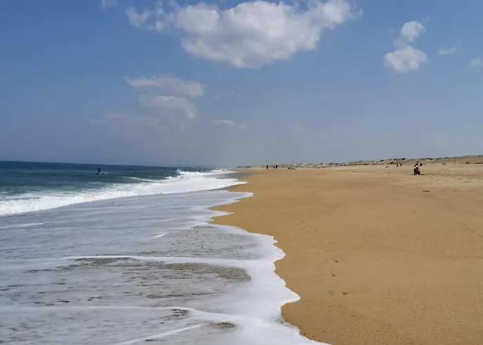 Vakantiehuis Des Hauts Pins Ondres