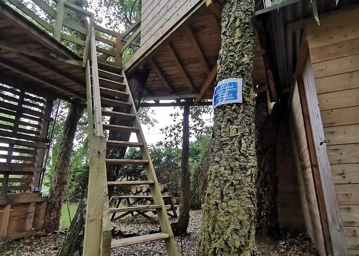 Vakantiehuis Des Hauts Pins *