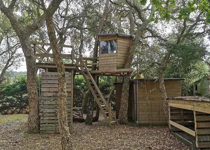 Des Hauts Pins * Ondres