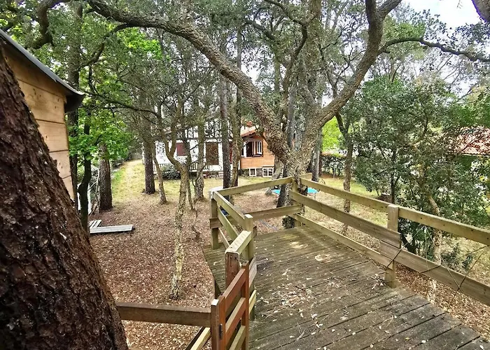 Des Hauts Pins Vakantiehuis Ondres