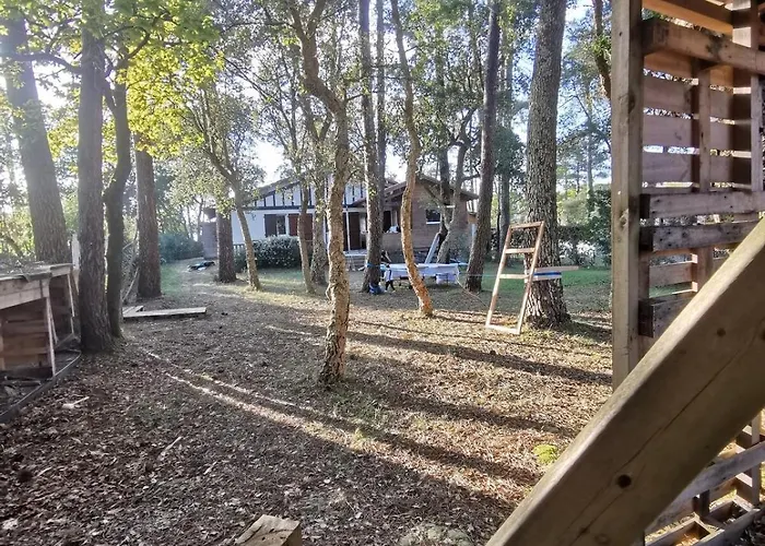 Des Hauts Pins * Ondres